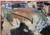 Go to 1951 Oldsmobile Ninety-Eight 98 4 Door Sedan For Sale