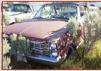 Go to 1966 Ford Galaxie 500 Convertible 