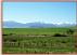 Montana ranchs and farms