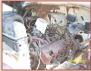 1958 Dodge Model M6 W-100 Series 4X4 Power Wagon 1/2 ton flatbed truck left front motor view